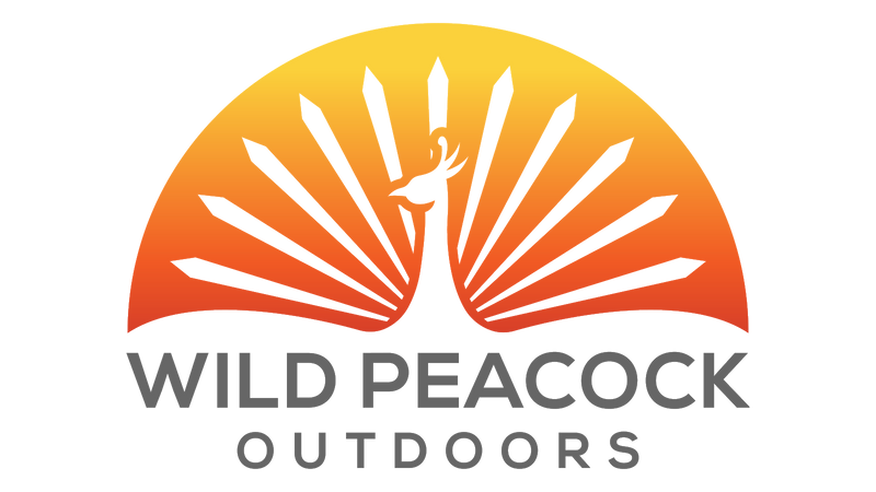 Wild Peacock Outdoors